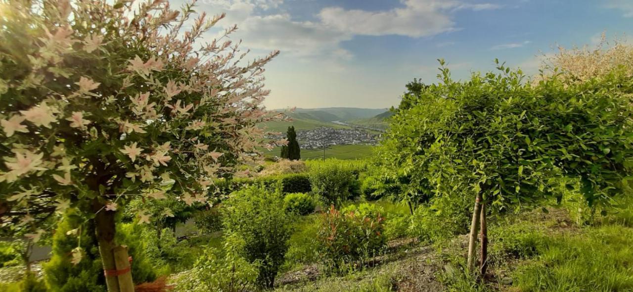 Casa La Vino Appartement Leiwen Buitenkant foto
