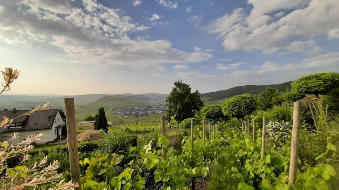 Casa La Vino Appartement Leiwen Buitenkant foto